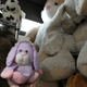 Illustration for article titled Happy Easter! Stef And Puffs Trip To The Bunny Museum